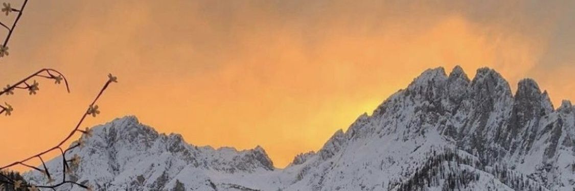 oztrkroza's profile banner image