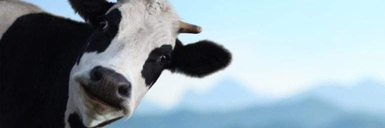 dosspersonas's profile banner image
