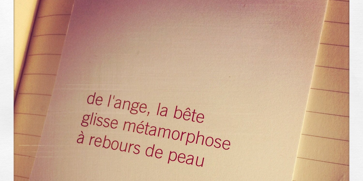 _antiphon's profile banner image