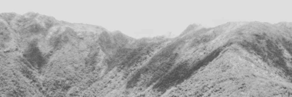 noesgerman's profile banner image