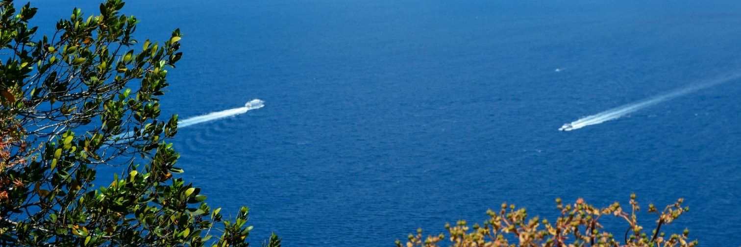 TheReal_Zwalk's profile banner image