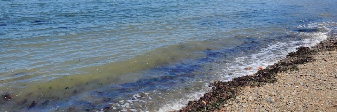 Outdoors Beauty banner