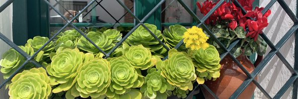 matenw17 Profile Banner