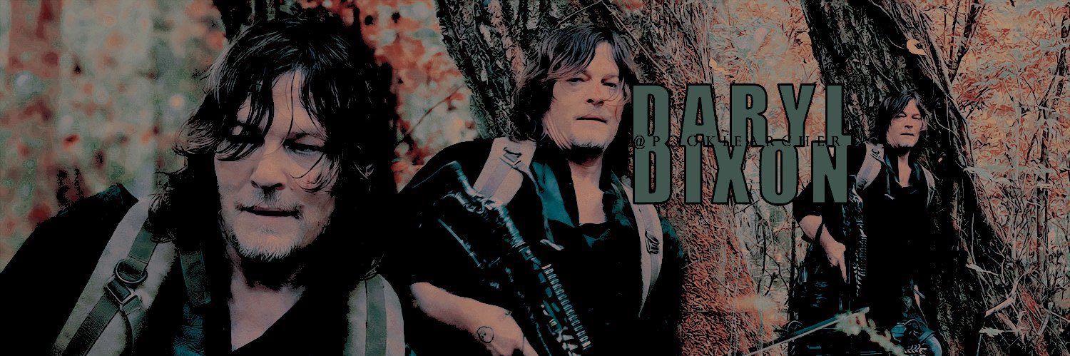 Daryl Dixon. banner