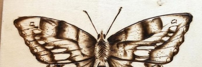 Kitty banner