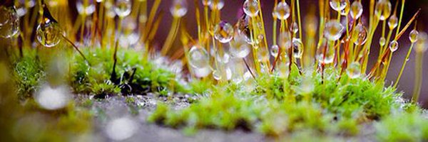 acecin Profile Banner