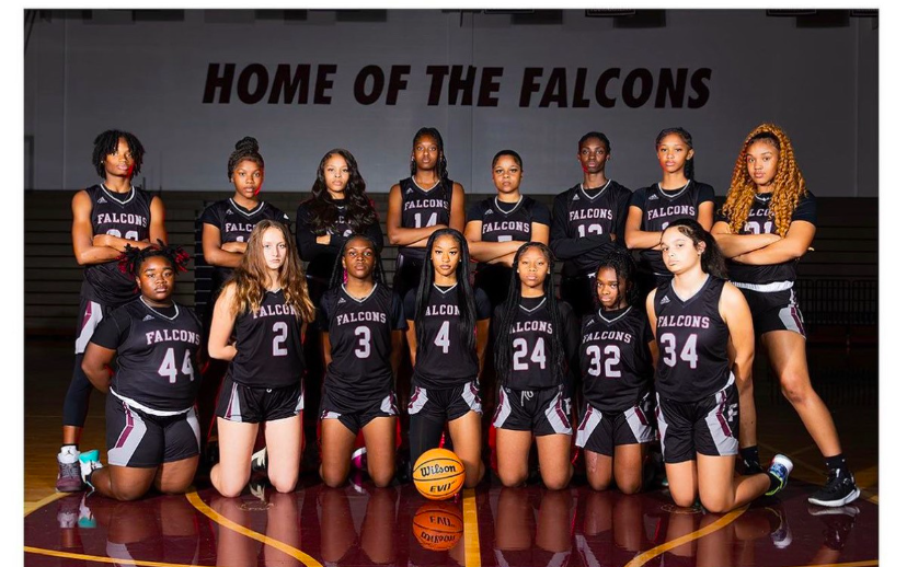 Fulton Lady Falcons banner
