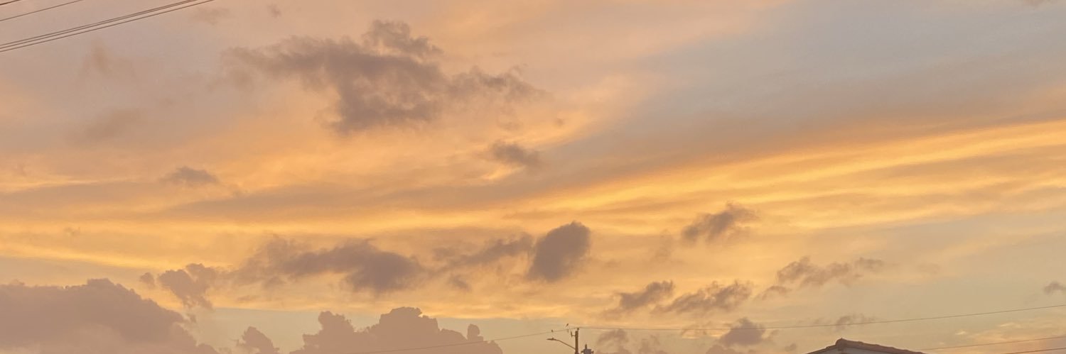 Ruisanchez31's profile banner image