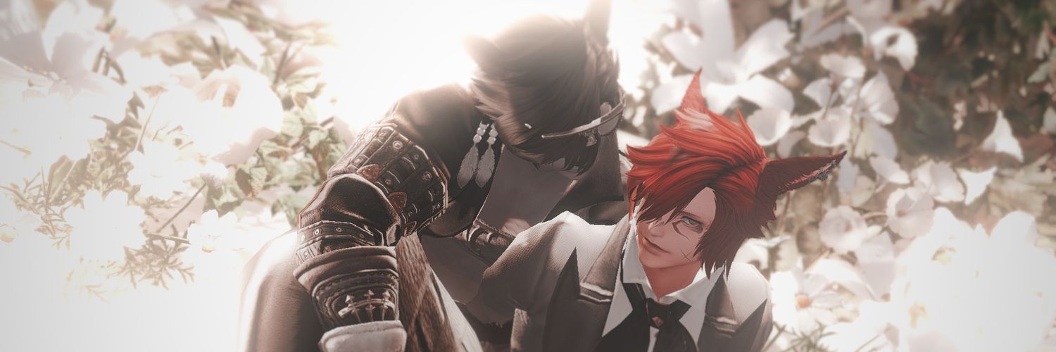 마리모 눈 banner