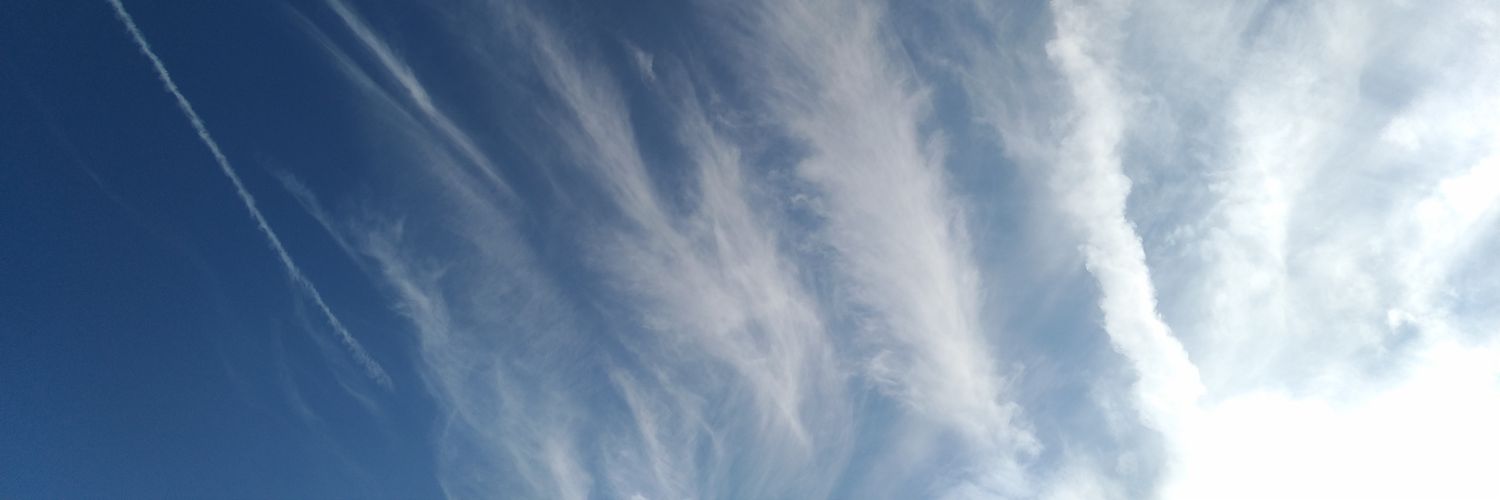 sdfugmann's profile banner image