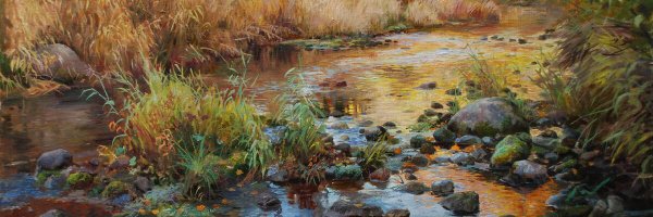 plutoadvocate Profile Banner