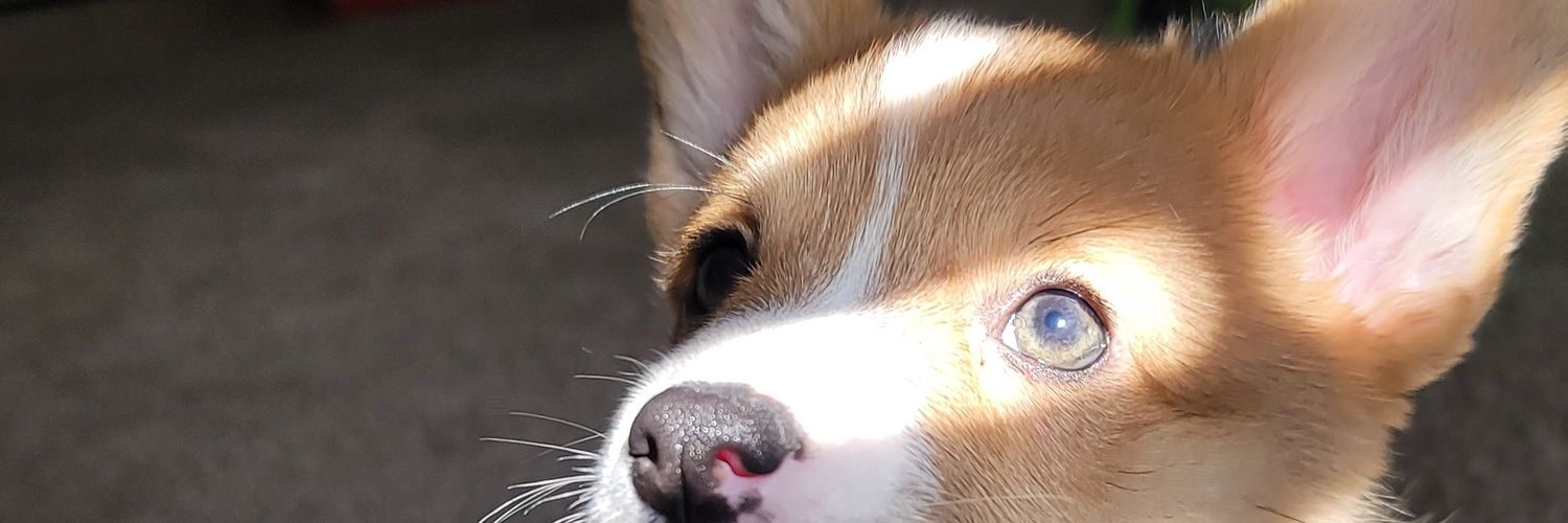 Toni_txt's profile banner image