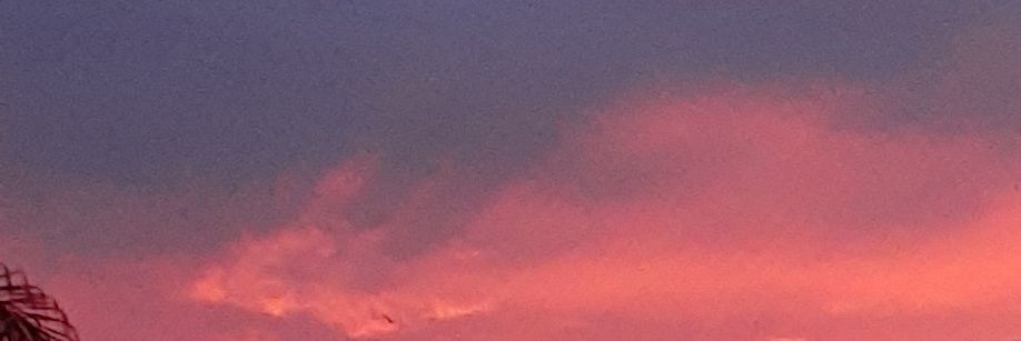 🕊 banner