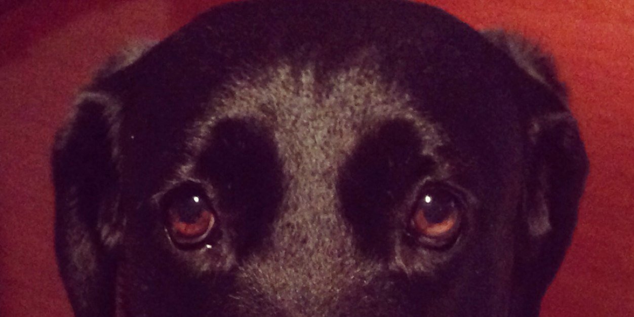 Carlos Montoya banner