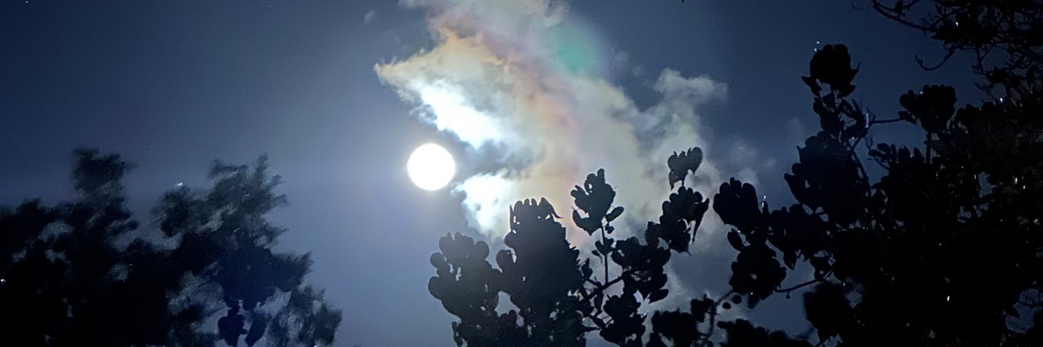 frankazazel's profile banner image