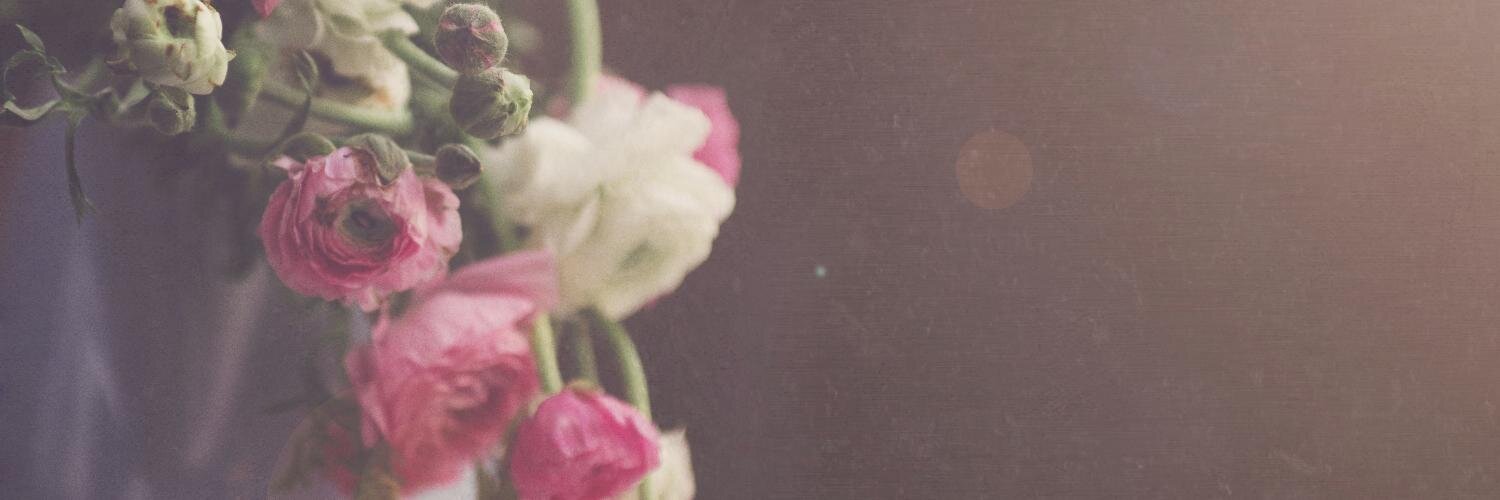 JaimeStokeReed's profile banner image