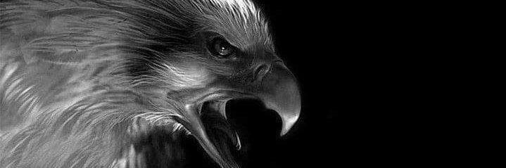 momef_66633's profile banner image