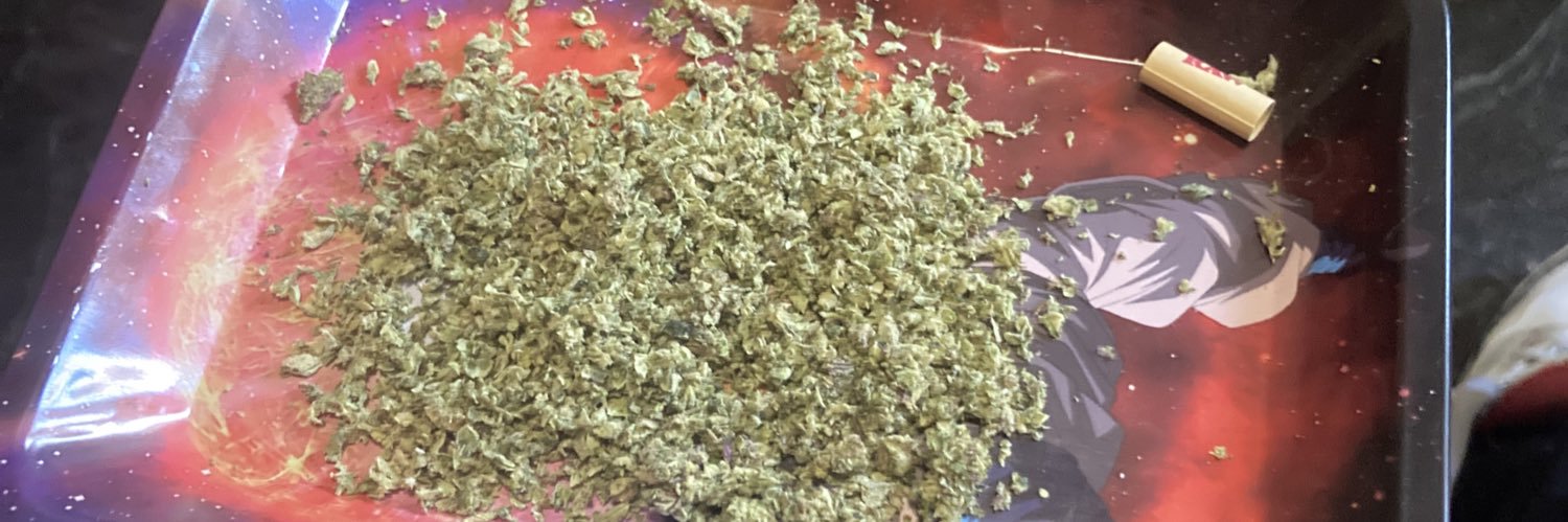 Ace Gzzz🐇🎯 banner