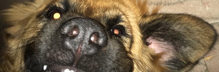 ImProductive's profile banner image