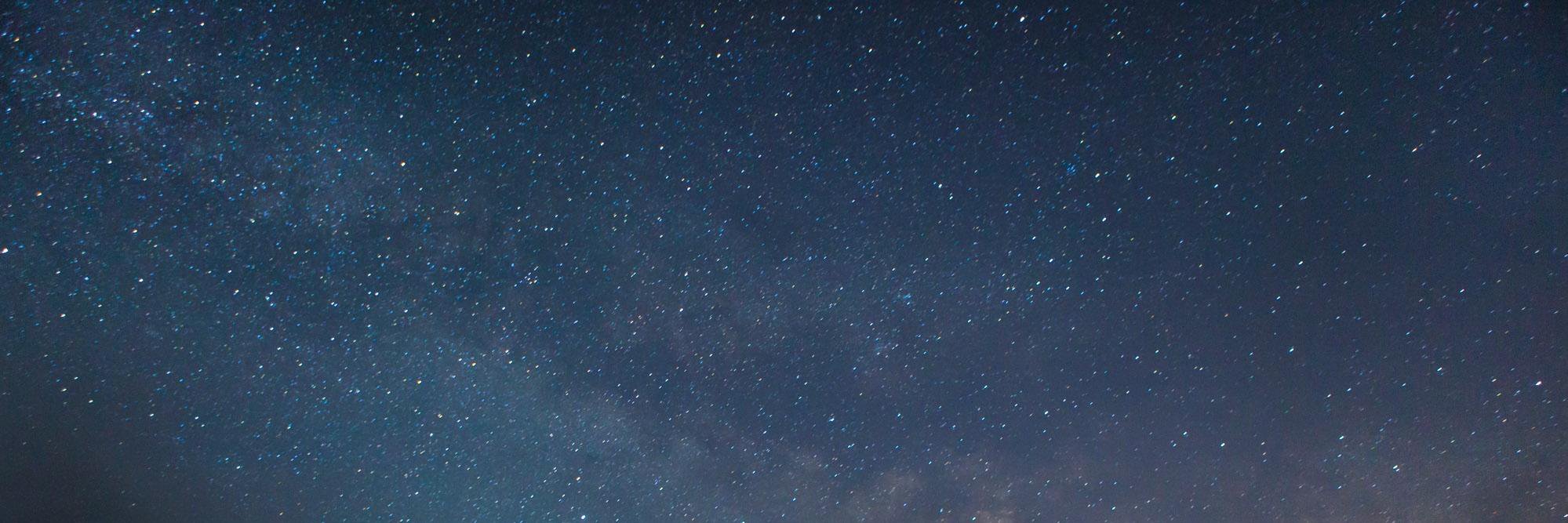 Udi Silvestre banner