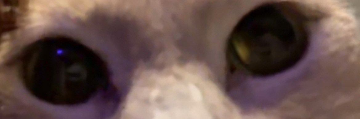 maddisonkayle's profile banner image