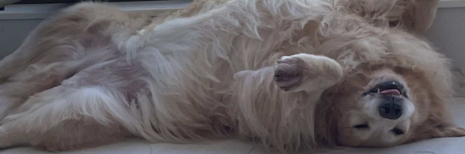 lucazz's profile banner image