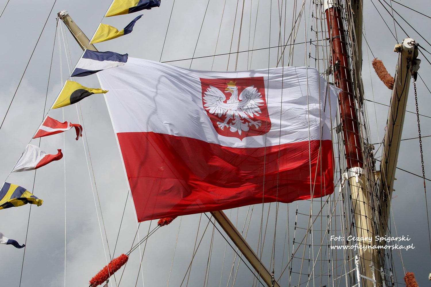 Jolanta Drabik-Maciaszek's banner