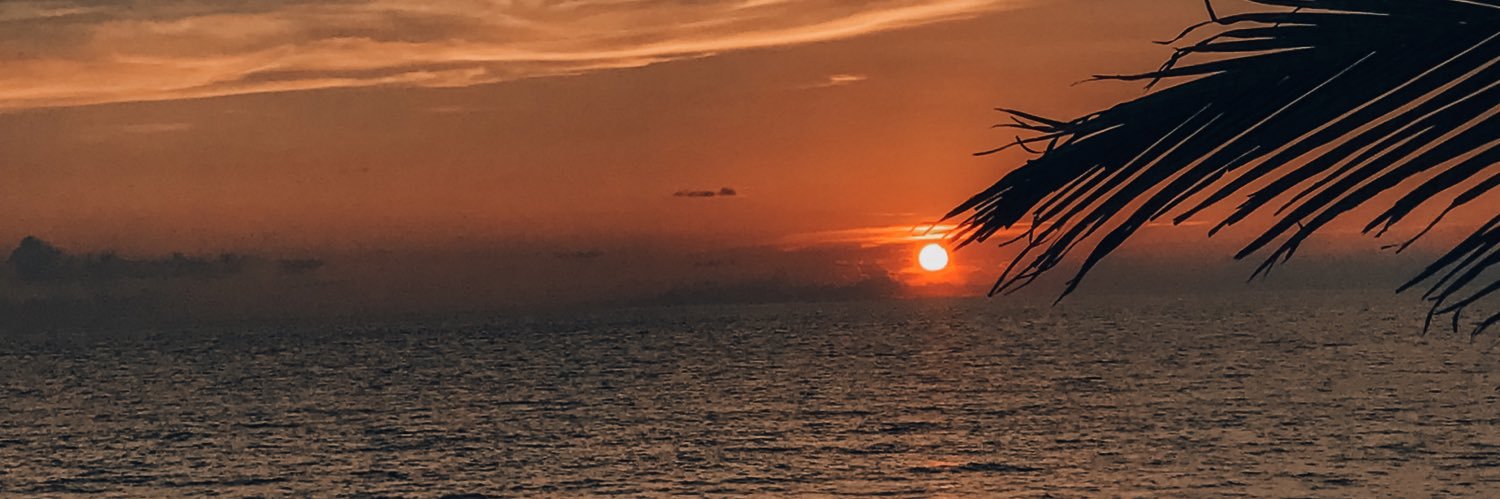 mikeeeduria's profile banner image