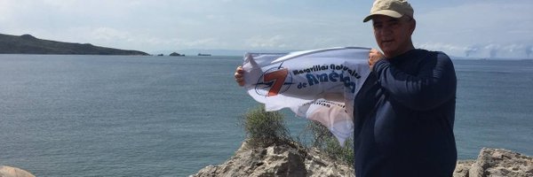 Mochima Profile Banner