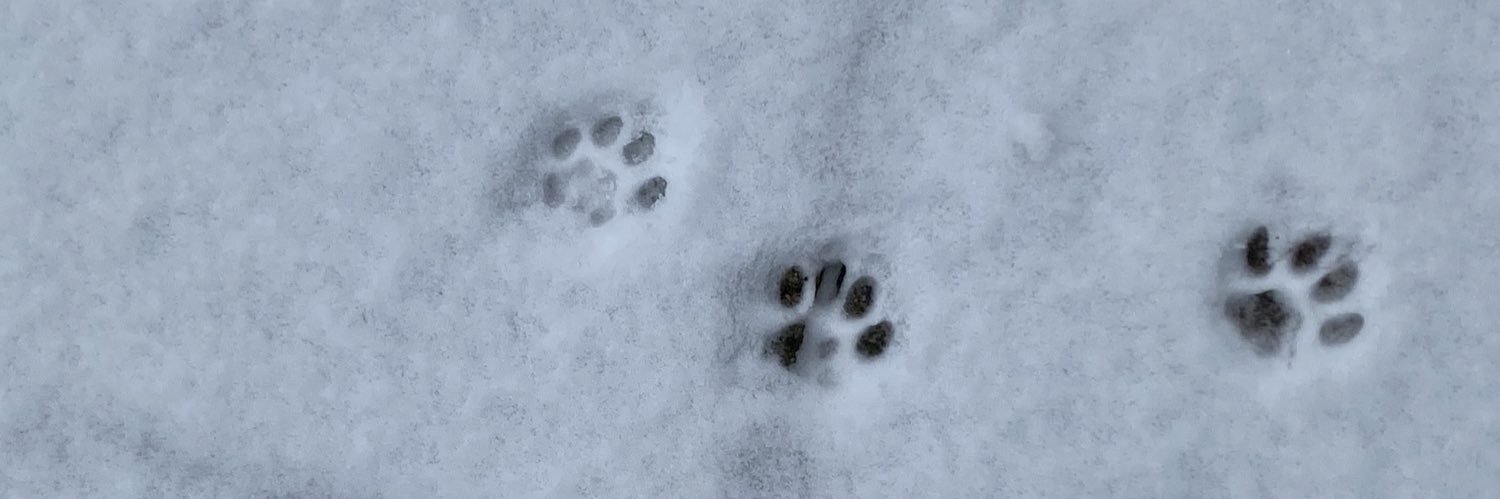 pilates with sasha banner