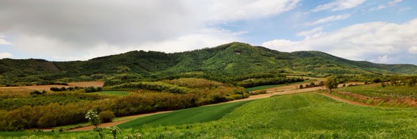 bircuz Profile Banner