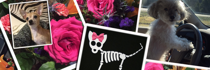 ᗰIᑕKI ᗪᗩᑎIEᒪ banner