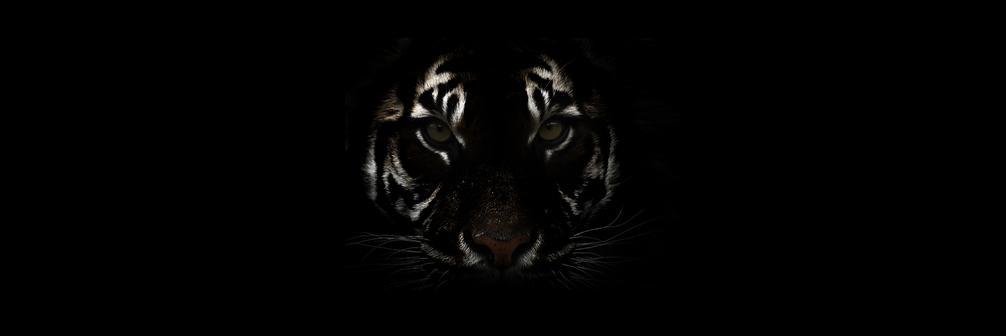 NamesTylerJames's profile banner image