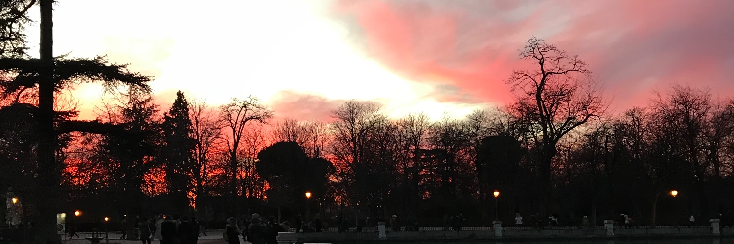 GraciSuarez's profile banner image