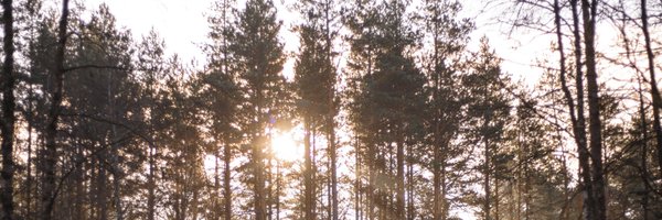 luliu_fin Profile Banner