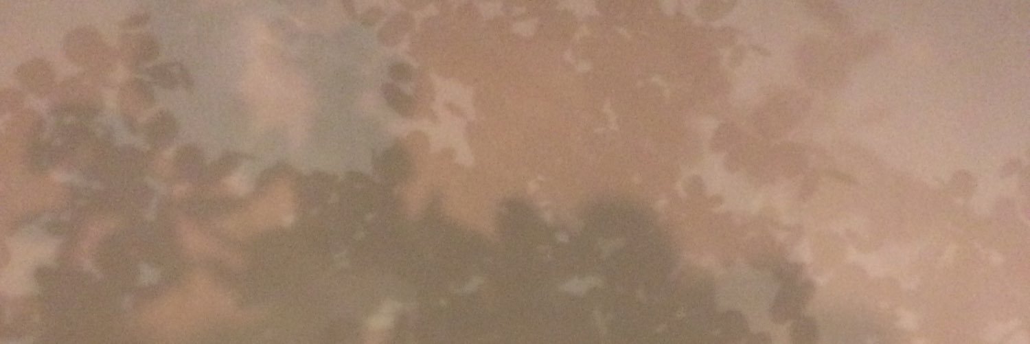 wiktettm's profile banner image