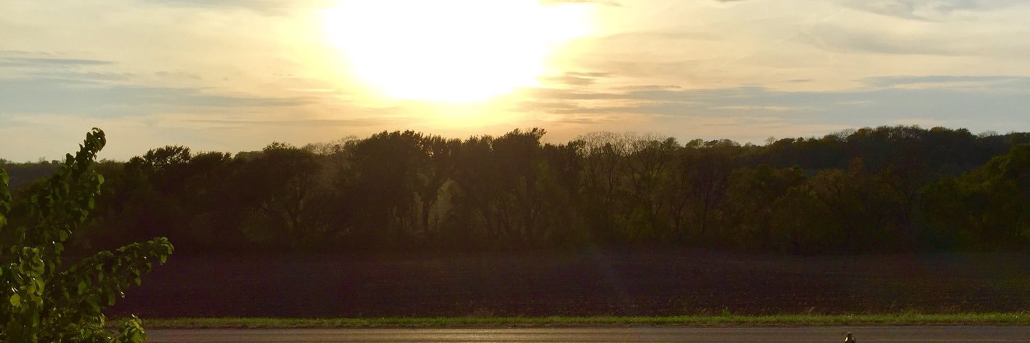 themelfreeman's profile banner image