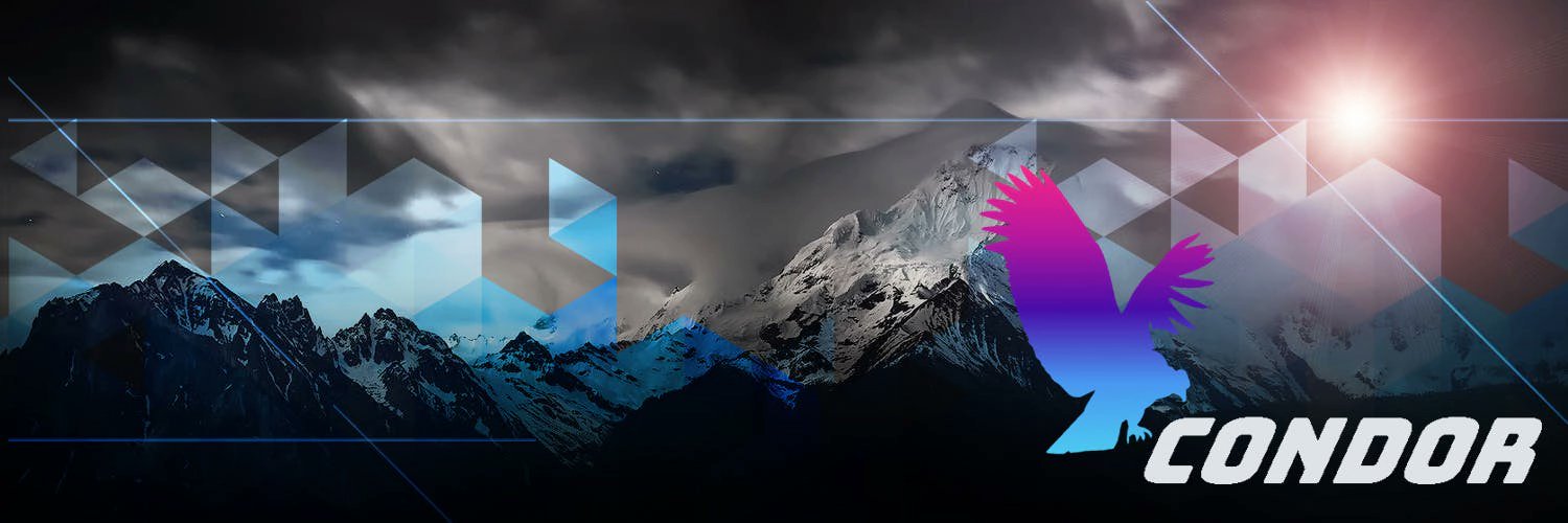 Condor Systems banner