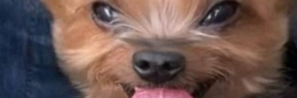 goddessamiraaa's profile banner image