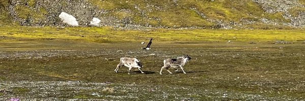 felixazurawska Profile Banner