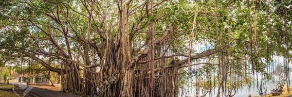 ArghaMario Profile Banner