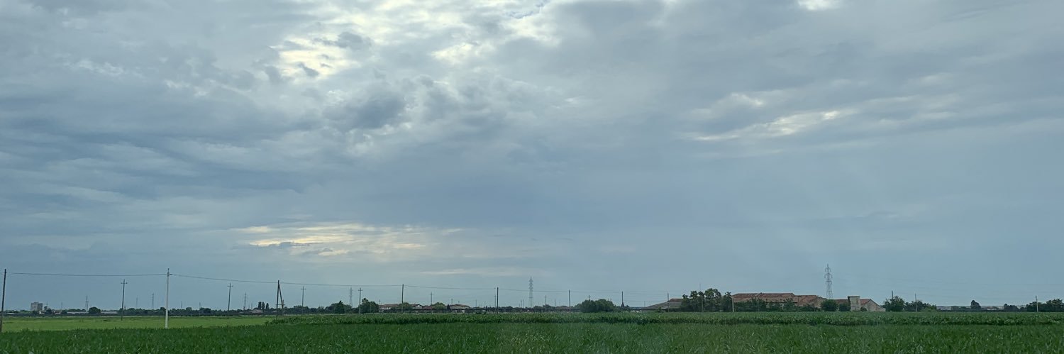 LPdimples_'s profile banner image