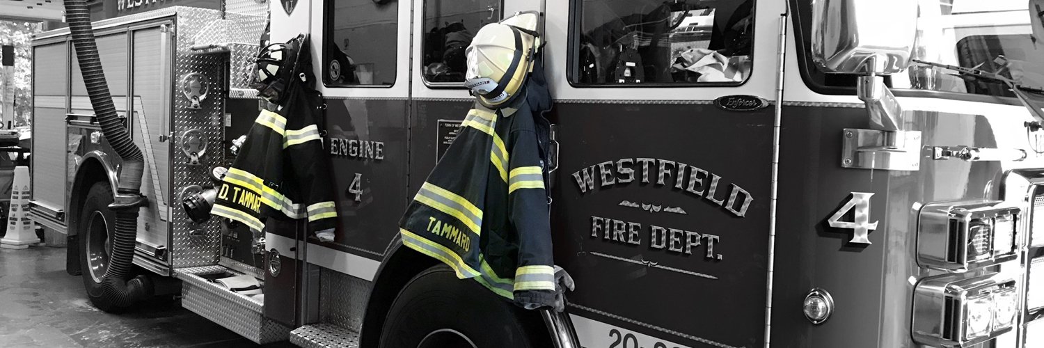 Dan Tammaro banner