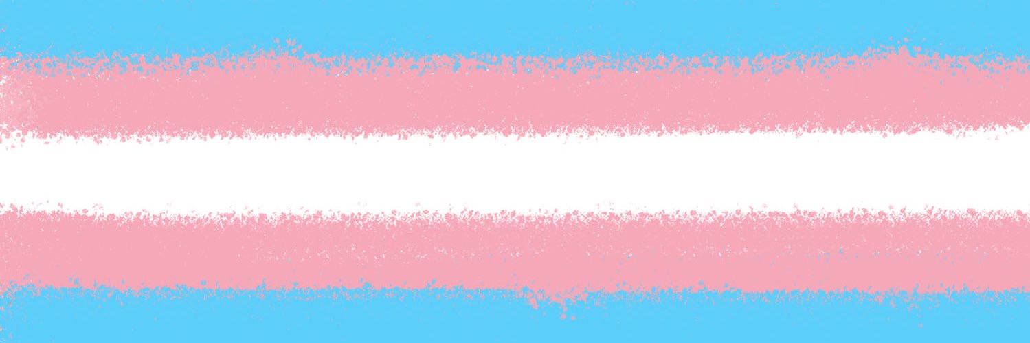 🏳️‍⚧️ FemboySwe 🏳️‍⚧️ banner
