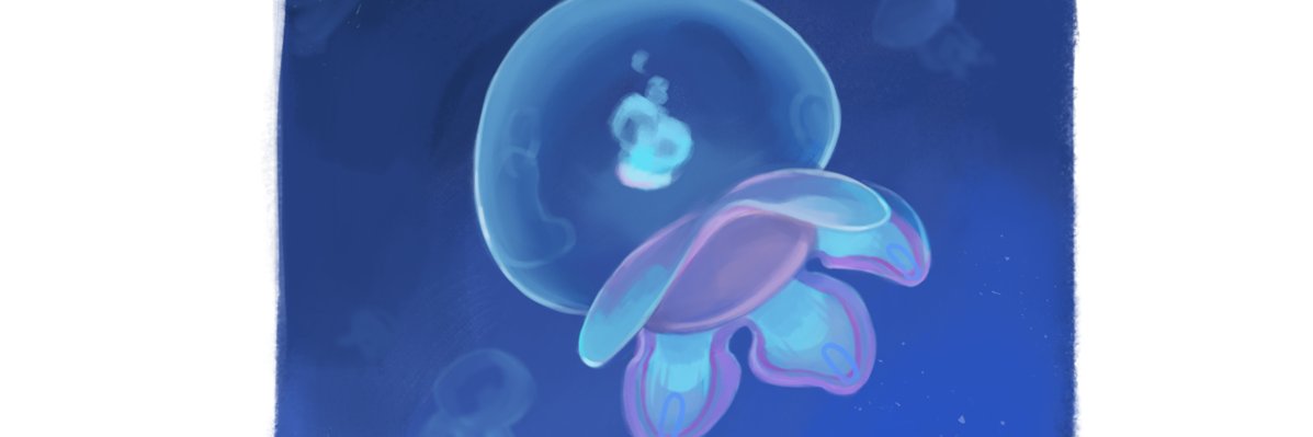 𝓪𝓷𝓷𝓮ଳ新規予定✖'s banner