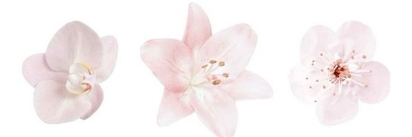 awhsunoo Profile Banner