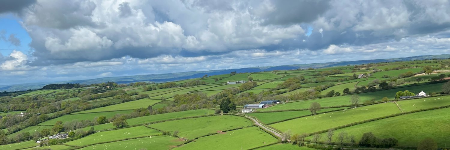 Ruby Topalian banner