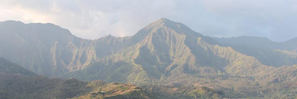 The List Life banner