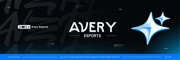 avery_esports Profile Banner