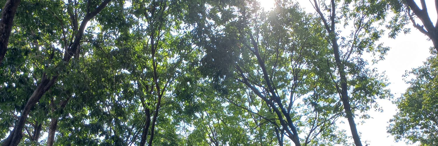 Mya || mt after dm ya banner